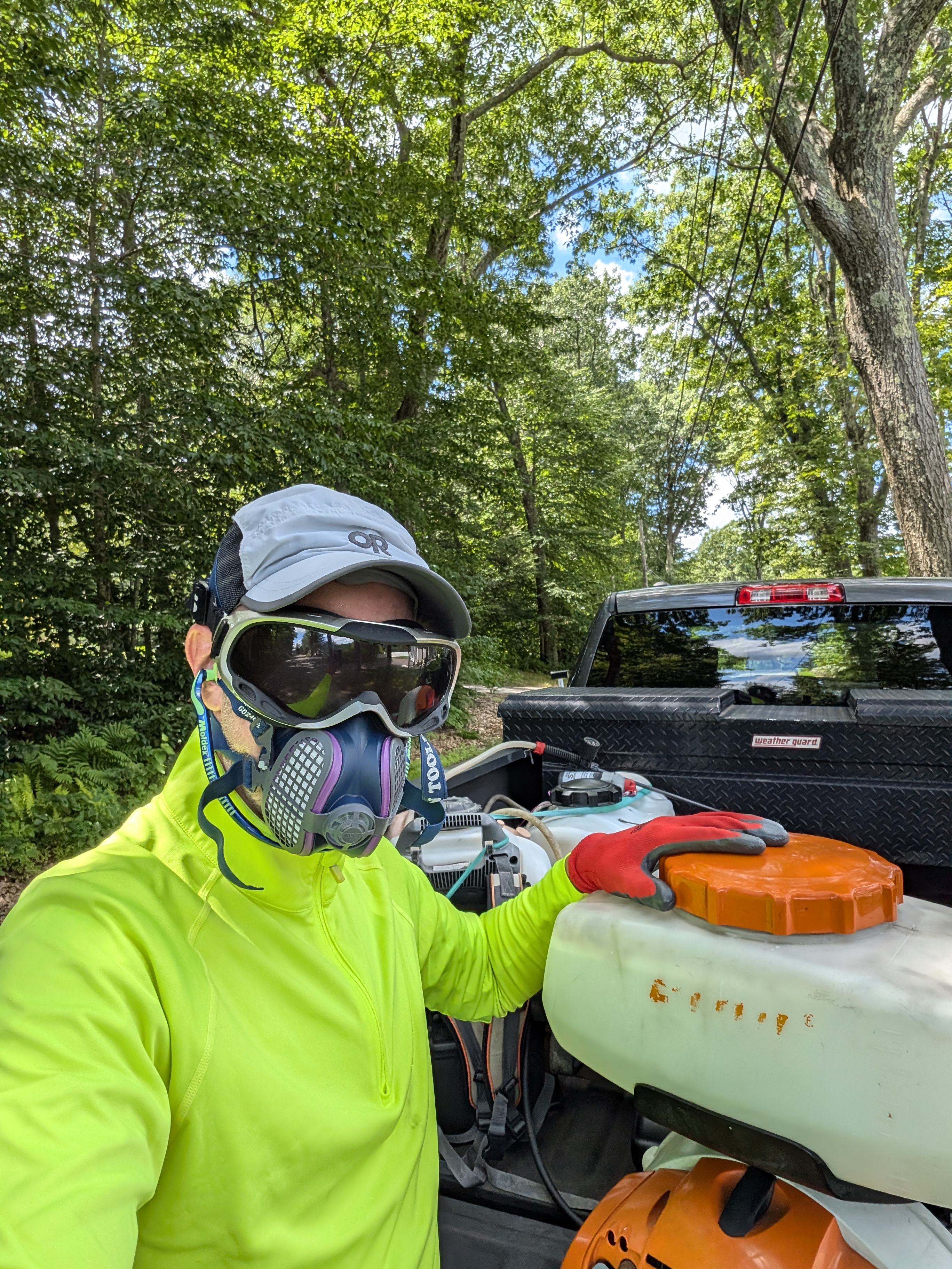 PXL_20240711_173108575